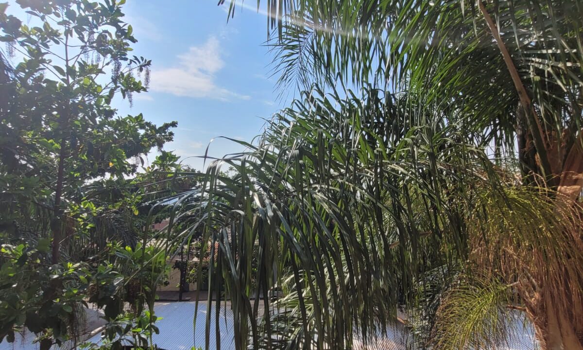 WhatsApp Image 2022-10-04 at 14.34.39 (1)