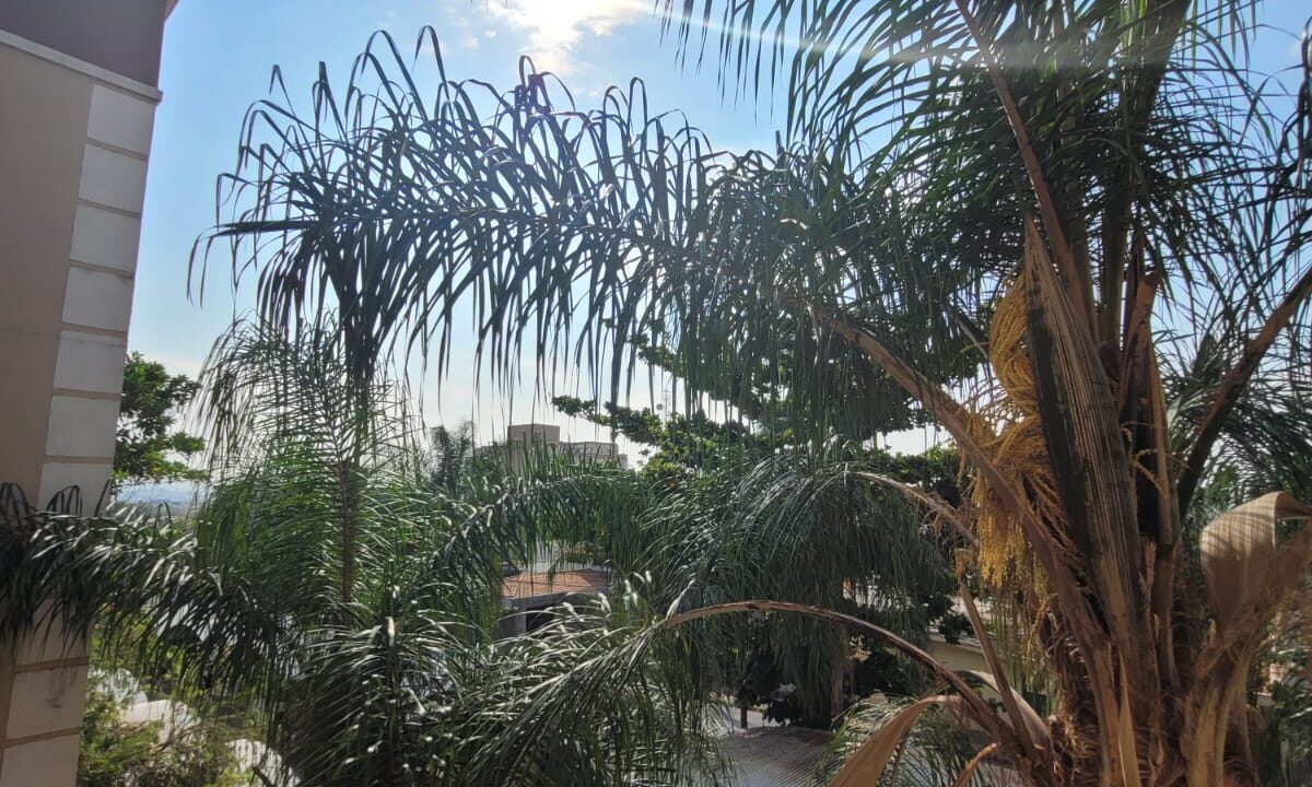 WhatsApp Image 2022-10-04 at 14.34.39